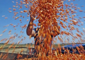 Si llega a haber subas en el mercado de granos, aprovechalas