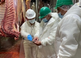 Una orden de Domínguez al Senasa para “apretar” a los frigoríficos es la mejor prueba de que en 2022 seguirán firmes los cupos para exportar carne