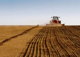 Aporte solidario: rechazan planteo de empresaria agropecuaria