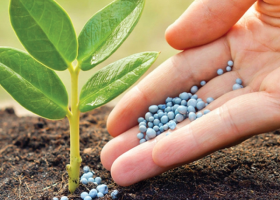 El campo sigue apostando a los fertilizantes