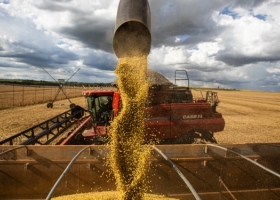 Brasil exportó un volumen récord de soja en 2021, y las tres cuartas partes fueron para China