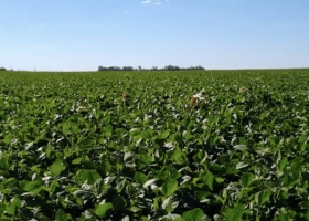 La Niña seguirá presente por lo menos hasta marzo