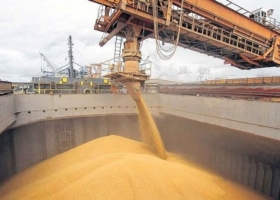 Retenciones: en 2021, los complejos agroindustriales aportaron $ 2.300 millones por día