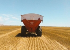 Desacople: El registro de exportación de trigo argentino vuelve a estar virtualmente cerrado