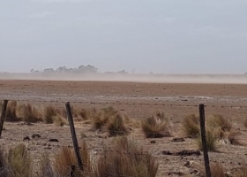 Decretan la Emergencia y Desastre agropecuario para la zona de Carmen de Patagones
