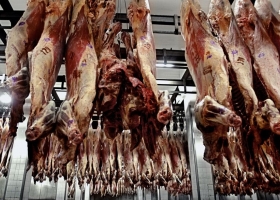 El año pasado se perdieron exportaciones de carne por hasta US$700 millones