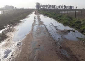 “No pagamos más”: productores de Bolivar denunciaron el pésimo estado de los caminos y se negaron a abonar una “exorbitante” tasa vial