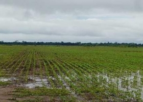 De la sequía a los excesos: un “bombazo de agua” con lluvias que superaron lo normal para todo enero