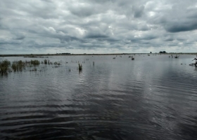 Es dramática la situación de productores inundados en el oeste bonaerense
