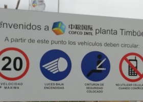 La nueva normativa de distribución de cupos de exportación de cereales terminó beneficiando a una compañía controlada por el gobierno chino