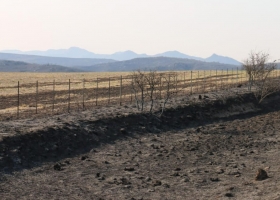 Córdoba entregó $5 millones a pequeños productores afectados por incendios