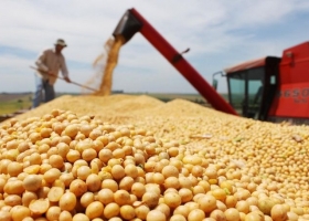 Las fuerzas políticas argentinas, sin importar el color, han demonizado a la soja como un monocultivo