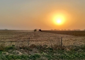 Si Argentina fuera un país normal estaría “nadando” en divisas: En 2021 el agro generó un récord absoluto de 35.000 M/u$s