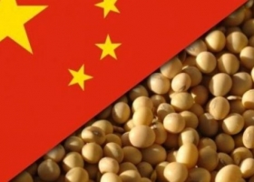 China demandaría 30 mill/tn menos de soja