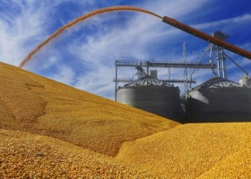 Con retenciones, no hay fomento a las exportaciones