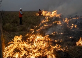 Un nuevo informe alerta que las pérdidas en Corrientes ya superan los $69.000 millones
