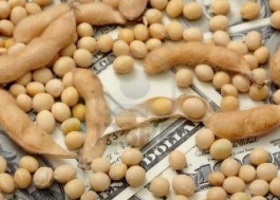 La soja sigue con un rally alcista y en Chicago alcanzó el mayor precio en más de 9 años