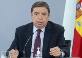 Guerra Rusia-Ucrania: pedido urgente de España para comprar maíz de Argentina