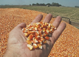Retenciones: se abrió una sorpresiva disputa al interior del campo