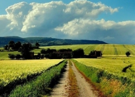 Las oleaginosas y el maíz se perfilan con buenos rindes en en el suroeste bonaerense y La Pampa