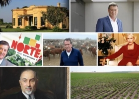 La larga lista de reconocidos empresarios que suman hectáreas en Argentina: por qué todos tienen campo