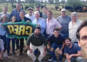 Retención de vientres y estiramiento de los engordes: La última encuesta CREA reveló dos aspectos clave de la coyuntura ganadera argentina
