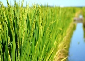 Los nombres detrás de un negocio de más de US$ 300 millones