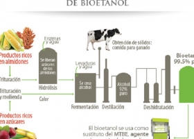 No todo está perdido. Unos seis meses le tomó al gobierno nacional entender que el bioetanol de maíz se produce a partir de una materia prima llamada maíz.