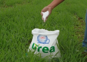 Agricultura asegura que no hay faltante de fertilizantes