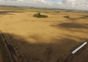 Reservas de humedad: el riesgo de déficit hídrico es bajo en la zona núcleo