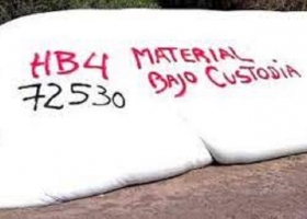 Los exportadores empezarán a analizar los camiones de trigo en busca del HB4, mientras los acopiadores descuentan que “el costo de esta fiesta lo van a pagar los productores”