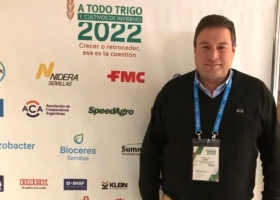  Precios y fertilizantes: los productores eligen las cartas para apostar al trigo 2022/2023