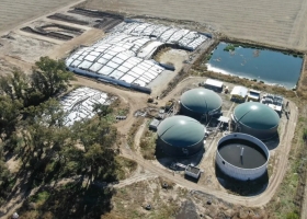 Tienen un campo de 1000 hectáreas y abastecen de energía a dos pueblos gracias a una innovación