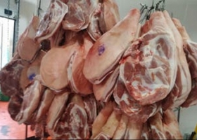 Productores de cerdos denuncian serios perjuicios por crecimiento de importaciones