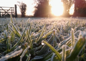 Heladas generalizadas: qué dice el pronóstico del tiempo para lo que resta de mayo