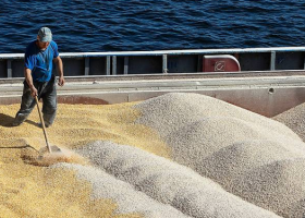 Las cotizaciones internacionales del trigo siguen en la “licuadora” por las versiones contradictorias sobre el destino del cereal ucraniano