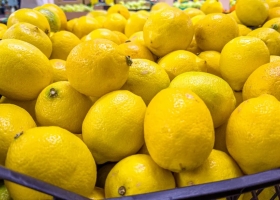 Por la falta de gasoil, en Corrientes ya tiran limones y se perderán 25.000 toneladas