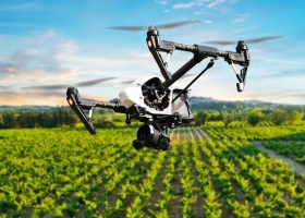 Transformación digital: la deuda pendiente en el sector agropecuario