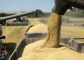 Brasil, con exportaciones y consumo interno récord de trigo, le “pasó el trapo” a la Argentina con sus políticas intervencionistas