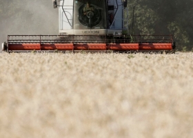 Ucrania golpeada: perdió 25 % de tierras cultivables