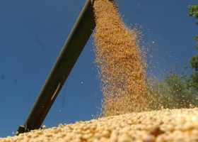  El Gobierno estudia ‘mecanismos’ para que los productores vendan más soja