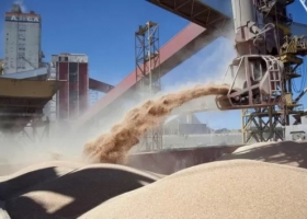 Récord histórico en agroexportación durante el primer semestre: Se liquidaron 19.145 millones de dólares