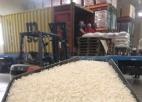 Se exportó arroz de desarrollo santafesino a Jordania: se trata de una variedad de gran aceptación para sushi