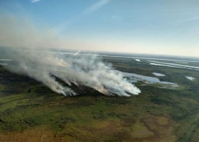 Delta del Paraná: ya son 60 mil las hectáreas afectadas por incendios en lo que va del año