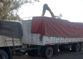 Confirman el nuevo ajuste de 16% para los fletes agrícolas, mientras los costos del transporte crecieron 48% en el primer semestre