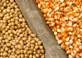 Proyectan exportaciones de productos agroindustriales por más de 41 mil millones de dólares