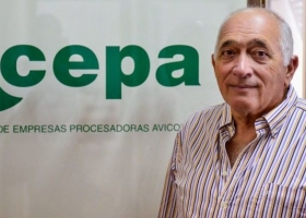 Con la nueva tanda de préstamos, las avícolas esperan poder empardar la oferta total de carne vacuna