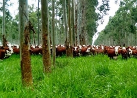 La agricultura como parte de la solución al cambio climático