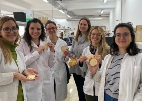 ¿Alguna vez pensaste en vestirte con un hongo? Investigadoras rosarinas avanzan en el desarrollo de una alternativa al cuero tradicional a través de biomateriales