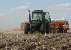Seguir sembrando o parar, el dilema de los productores de trigo del norte agrícola